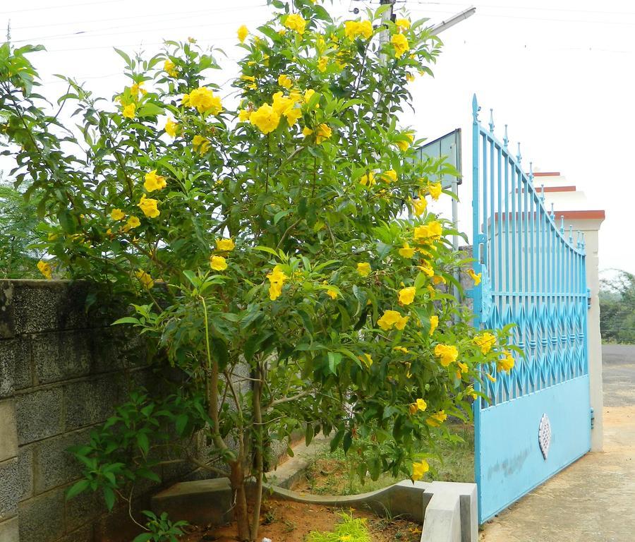 Stella Maris B&B Канниякумари Экстерьер фото